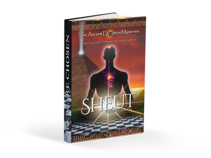 SHEUT The Seen Unseen You