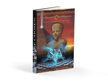 SIA Preceptive Creative Mind