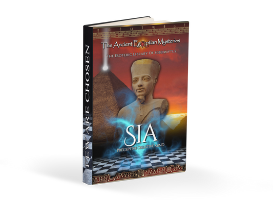 SIA Preceptive Creative Mind