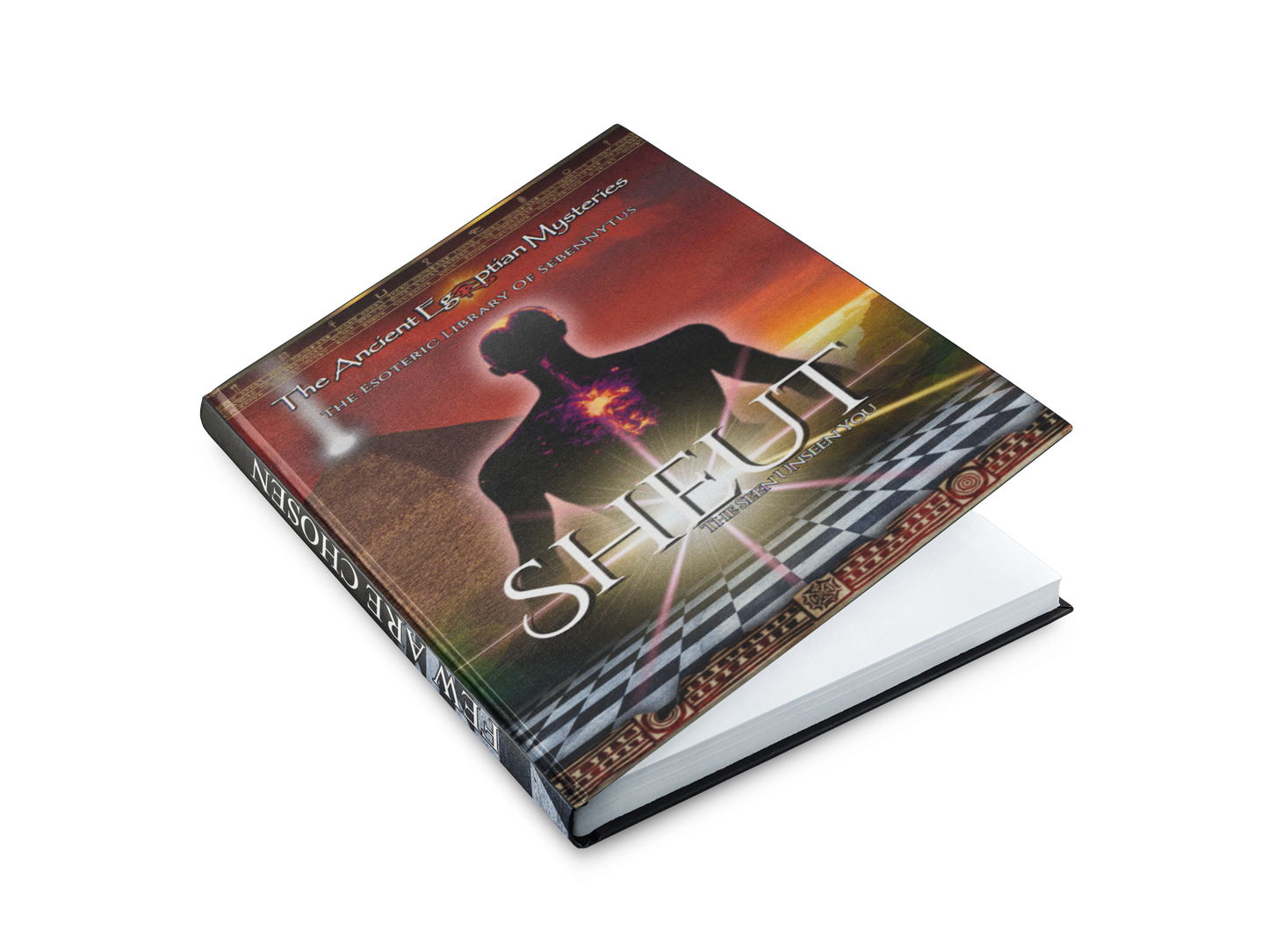 SHEUT The Seen Unseen You