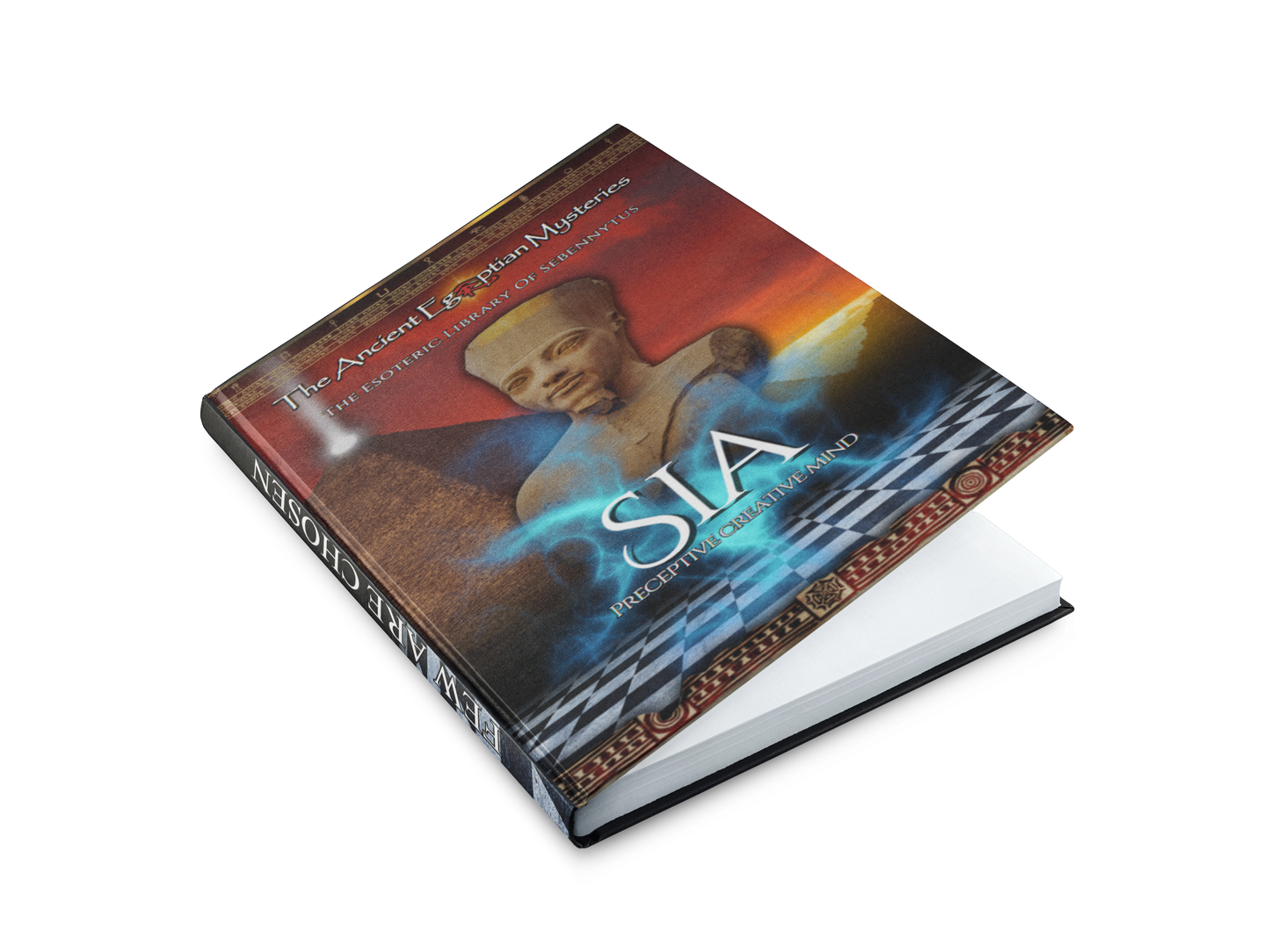 SIA Preceptive Creative Mind